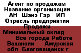 Агент по продажам › Название организации ­ АН "Шэнэ Гэр", ИП › Отрасль предприятия ­ Продажи › Минимальный оклад ­ 45 000 - Все города Работа » Вакансии   . Амурская обл.,Благовещенск г.